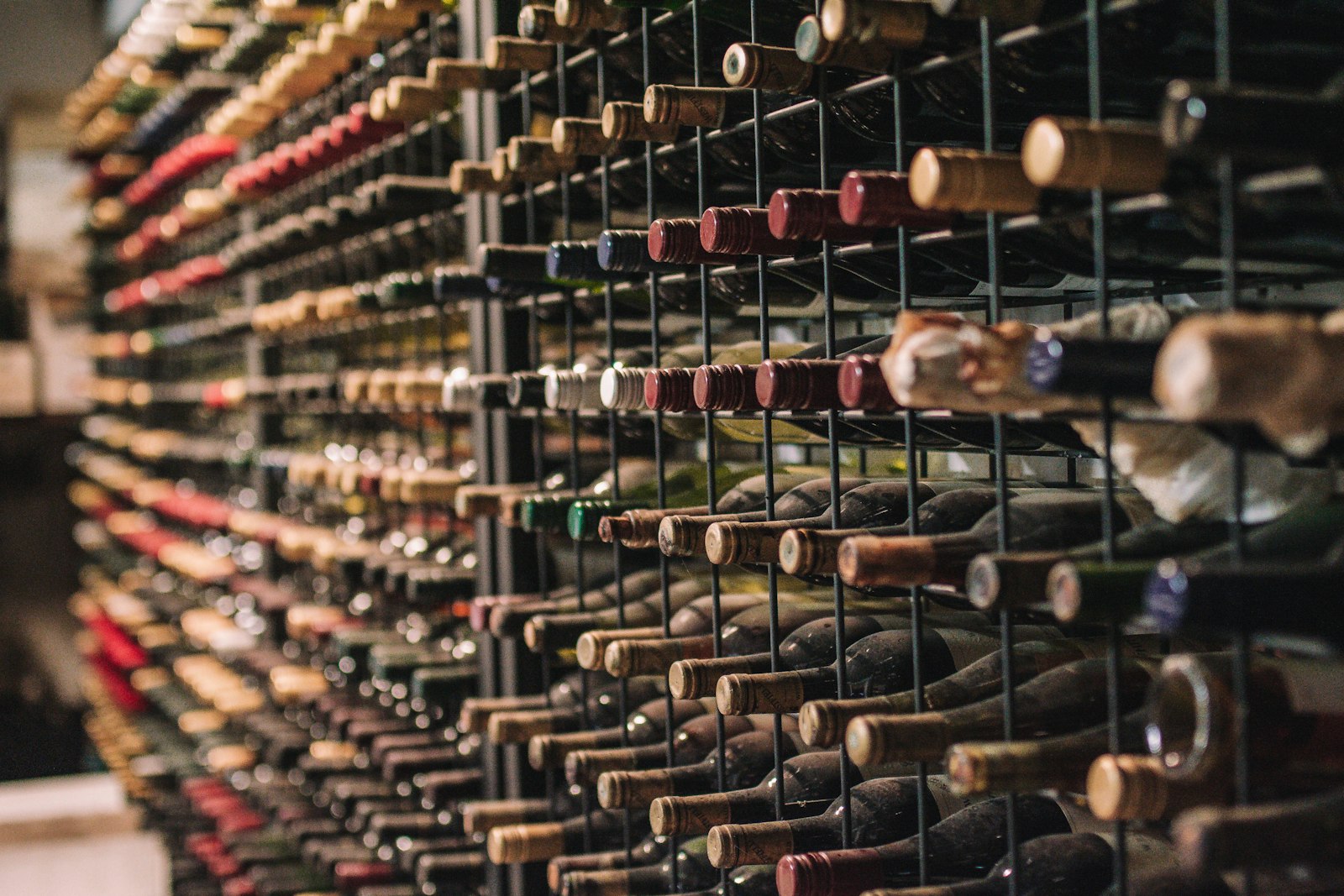 Botellero lleno de vinos de distintas añadas